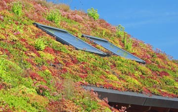 Clawdd Poncen living roof systems